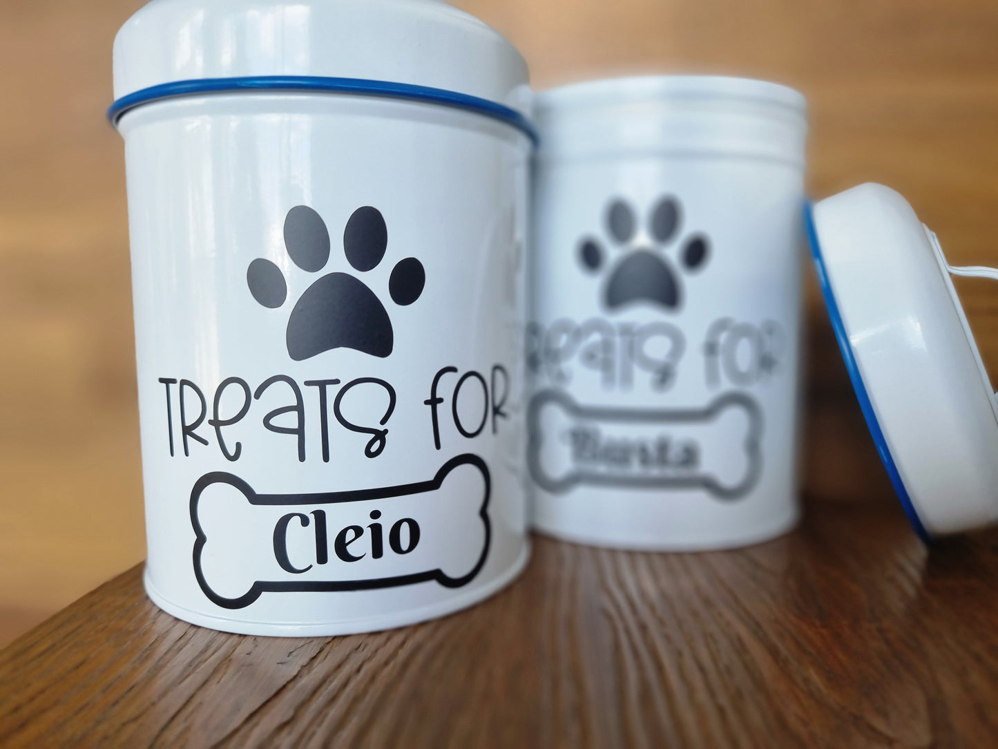 Dog Treats Canister Tin - Design Hut