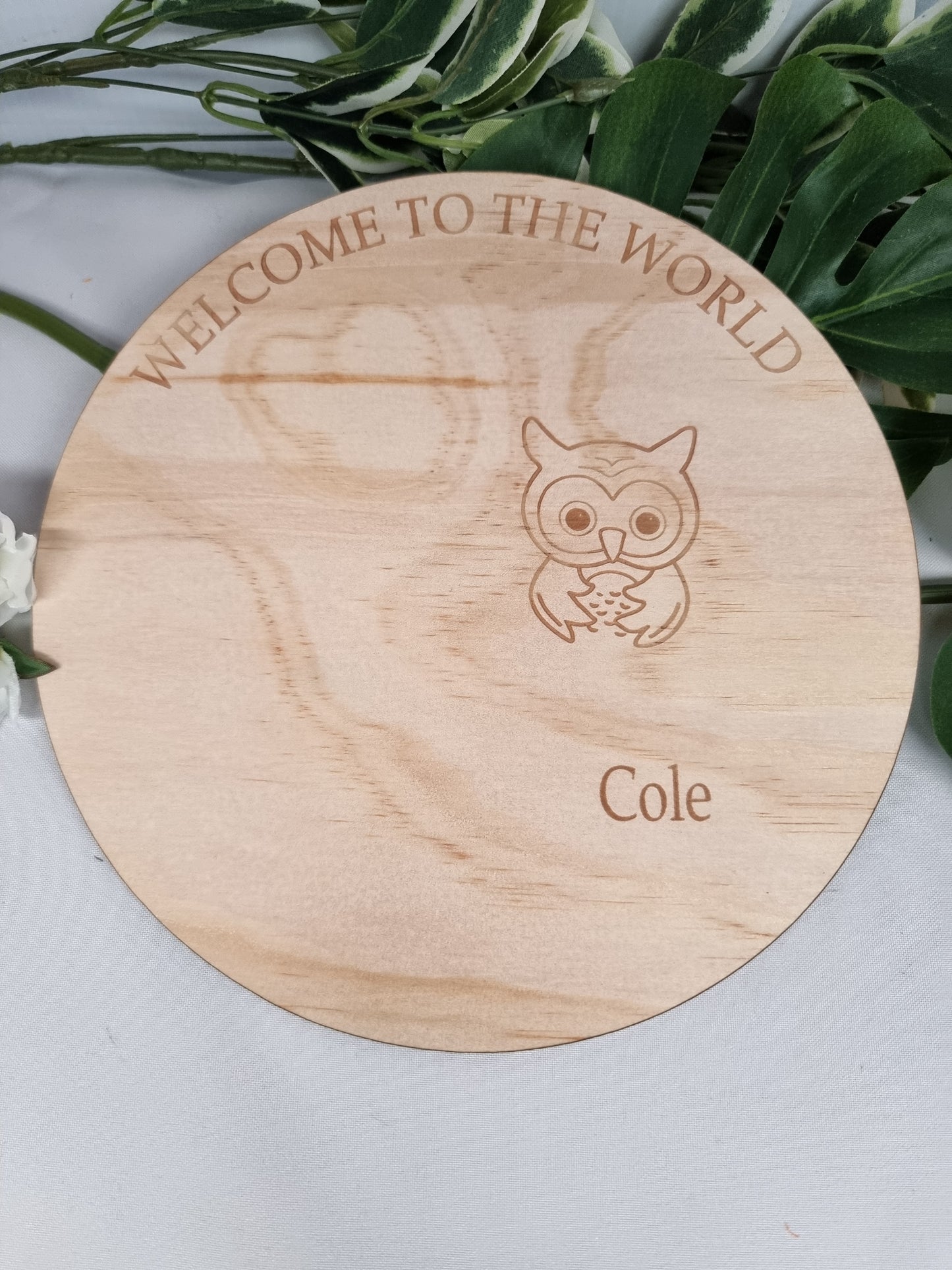 "Welcome to the World" Wooden Birth Announcement Disc - Design Hut