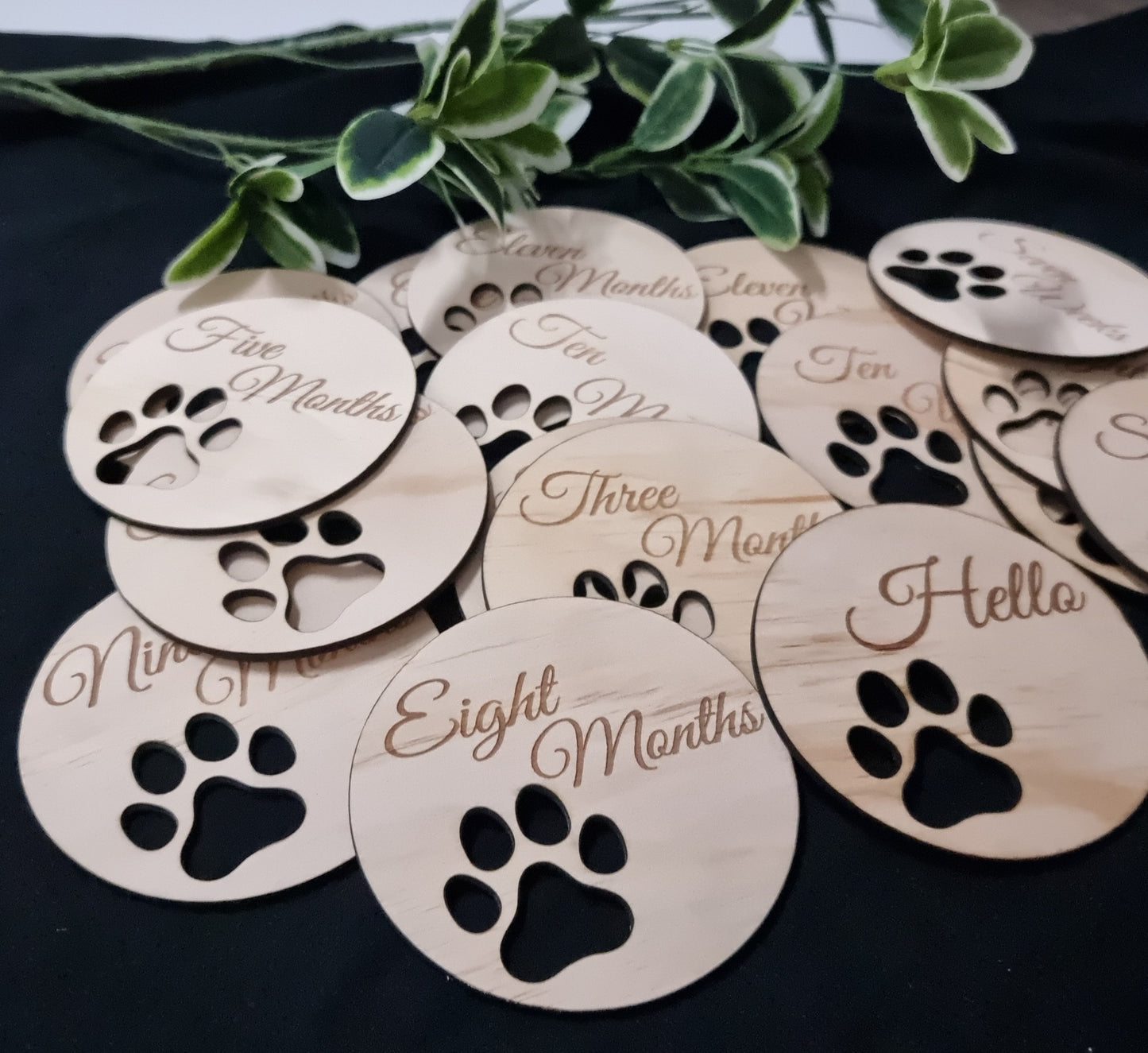 Dog Milestone Disc - Paw design for Fur Members | Design Hut