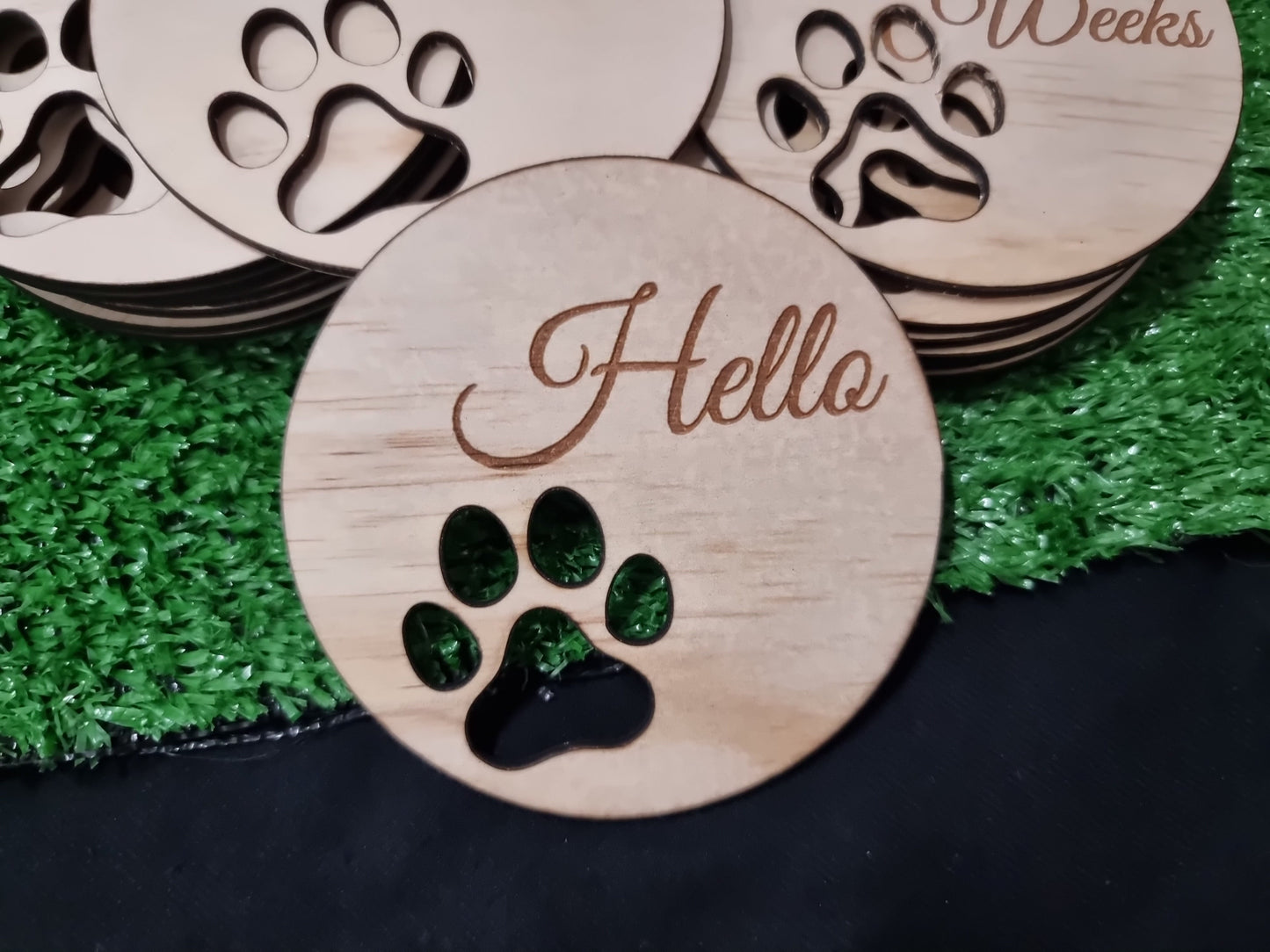 Dog Milestone Disc - Paw design for Fur Members | Design Hut